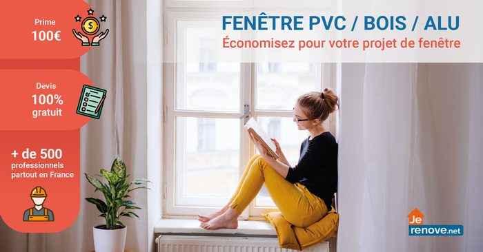 Display — Rénovation de fenêtres — format paysage, message resserré